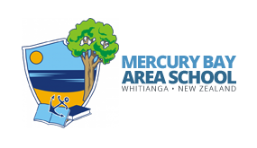 Mercury Bay Area School水星灣地區學校
