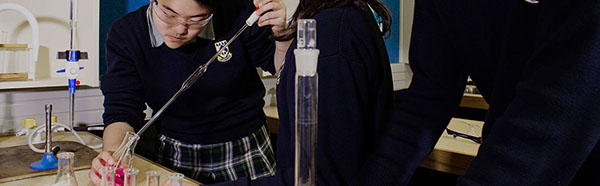 Hillcrest High School漢密爾頓中學